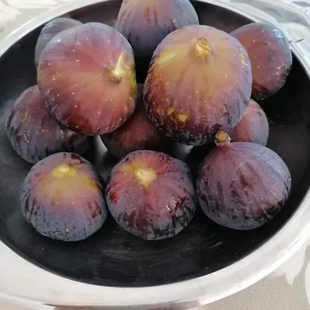 Il Mirto Blu Frühstückspension 4*