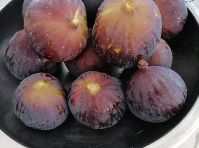 Il Mirto Blu فندق مبيت وإفطار 4*